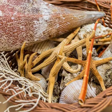 Appartement Ra Ica - Basic Molunat