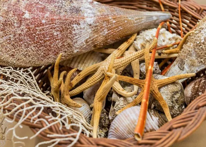 Appartement Ra Ica - Basic Molunat