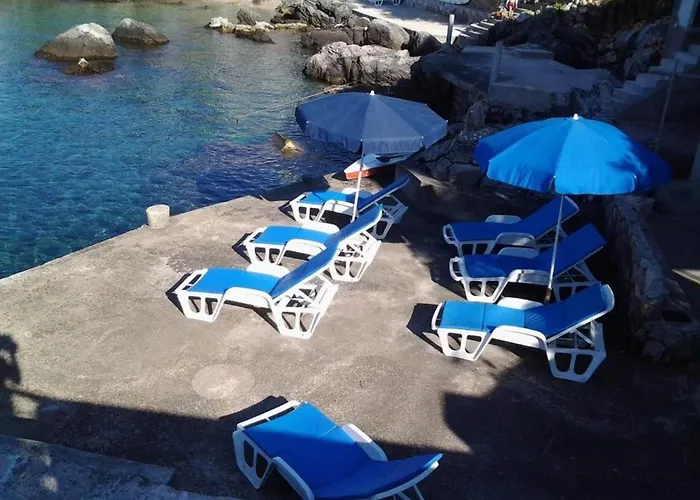 Ra Ica - Basic Molunat