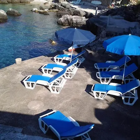 Ra Ica - Basic Molunat